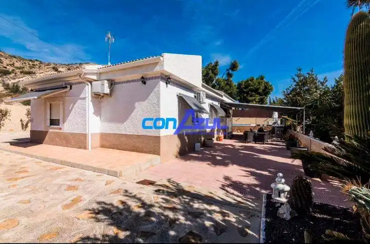 Vista exterior de Casa o xalet en venda en Elche / Elx amb Jardí privat, Terrassa i Piscina