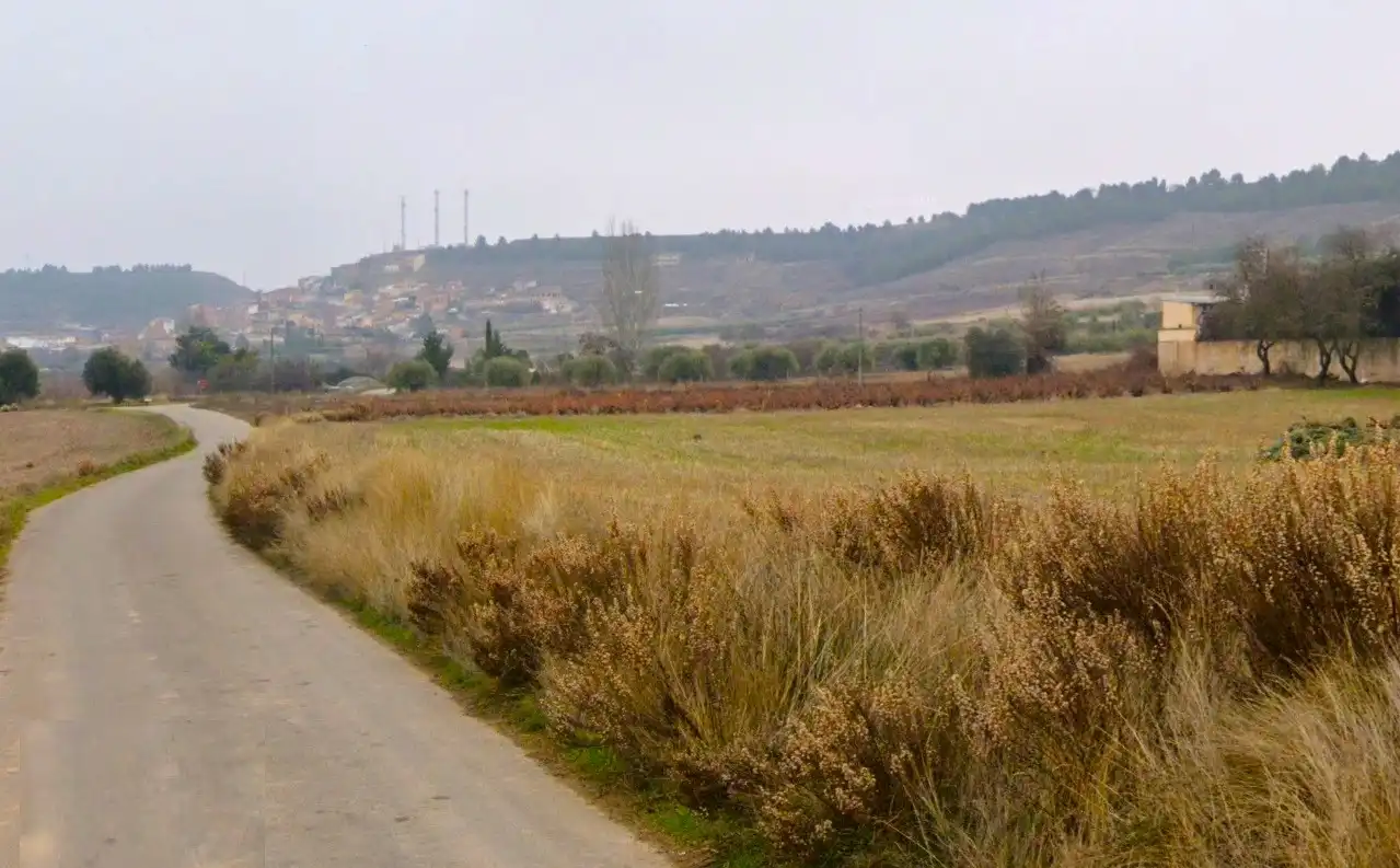 Wohnbaugrundstück zum Verkauf in Terreno Poligono 207, imagen 5