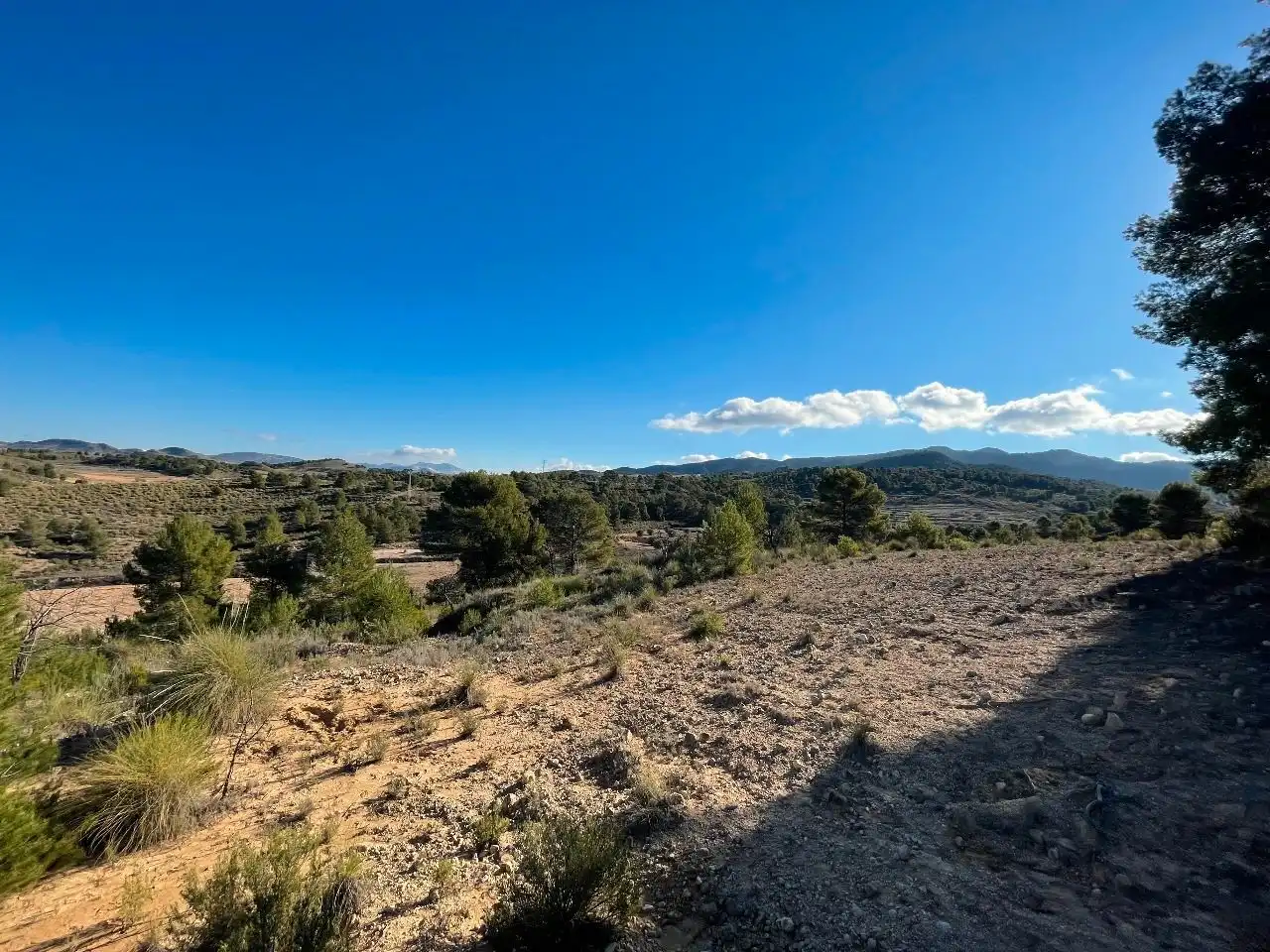 Rustikales Grundstück zum Verkauf in Jumilla, imagen 7