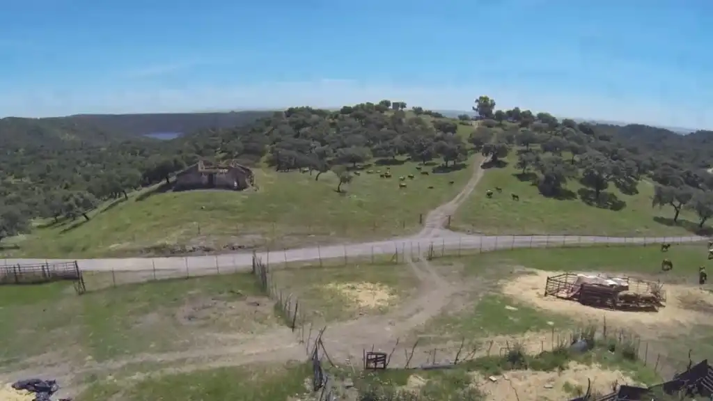 Finca rústica en venta en Almodóvar del Río con Jardín privado