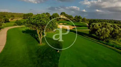 Casa o chalet en venta en Son Gual