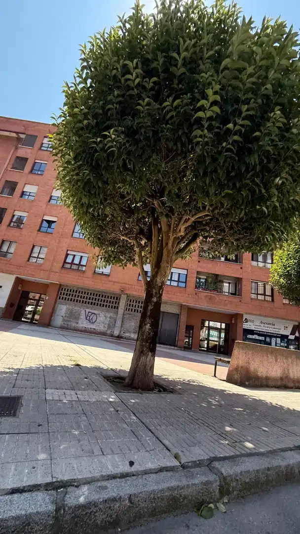 Außenansicht von Residential zum Verkauf in Gijón 