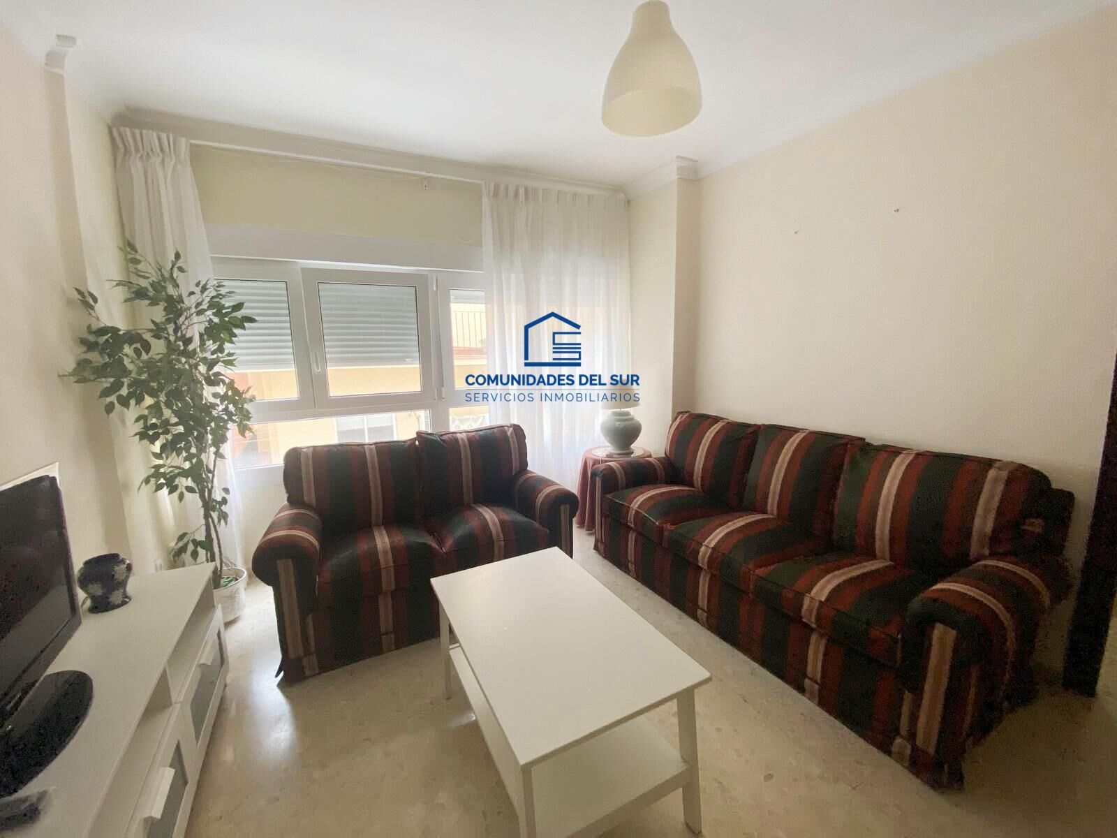 Living room of Flat for rent in  Cádiz Capital  with Furnished