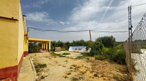 Photo 2 of Land for sale in Mata Alcozarina, Morón de la Frontera, Sevilla