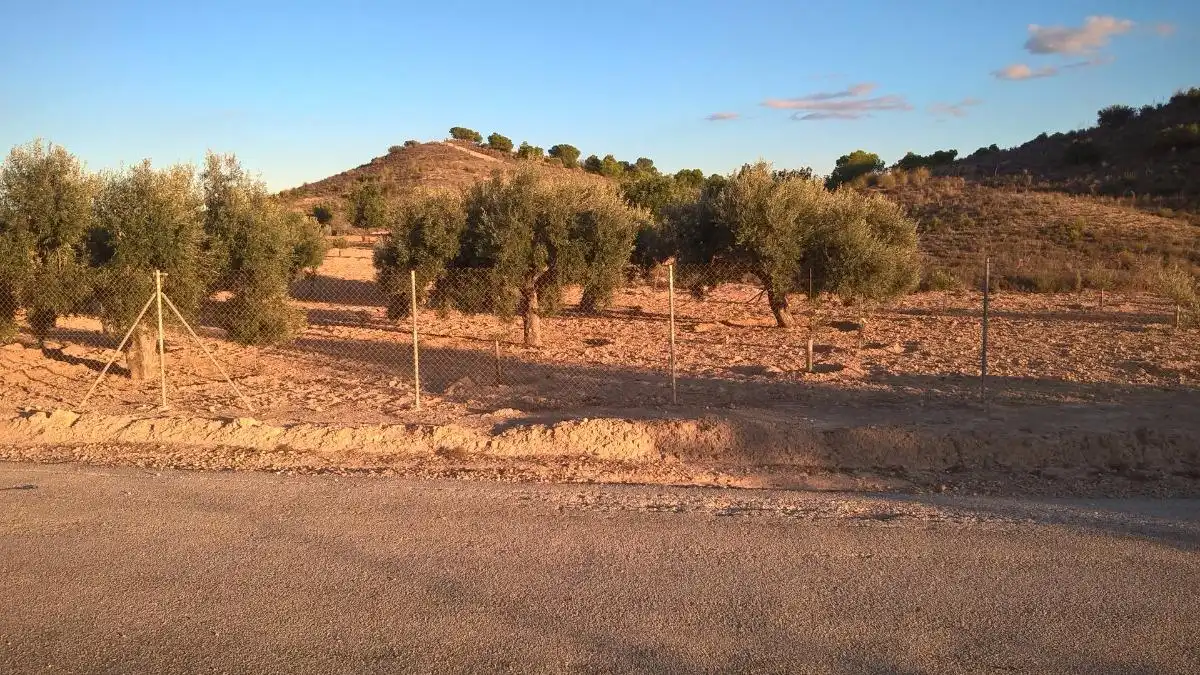 Finca rústica en venta en Alcantarilla