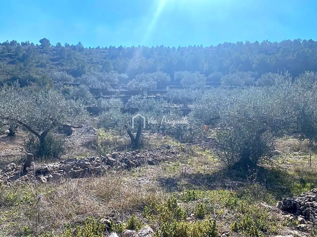 Terrain rustique à vendre à Calobres, imagen 11