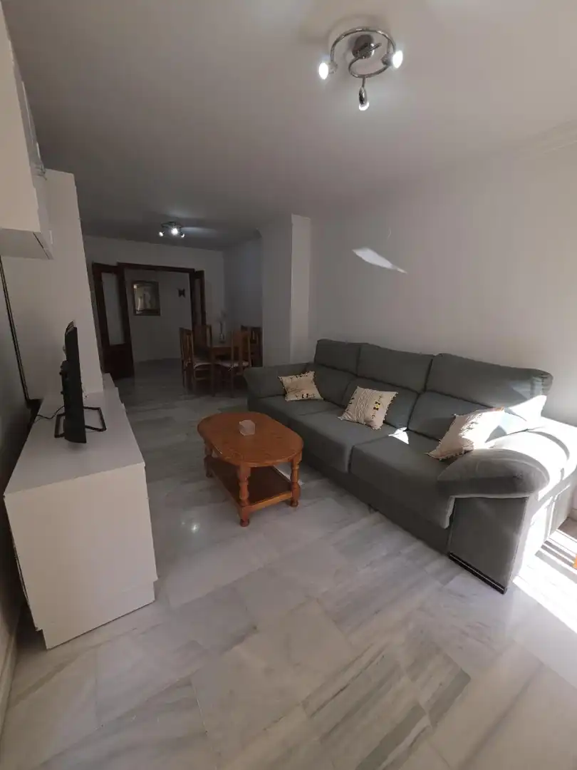 Sala de estar de Piso de alquiler en Arroyo de la Miel 