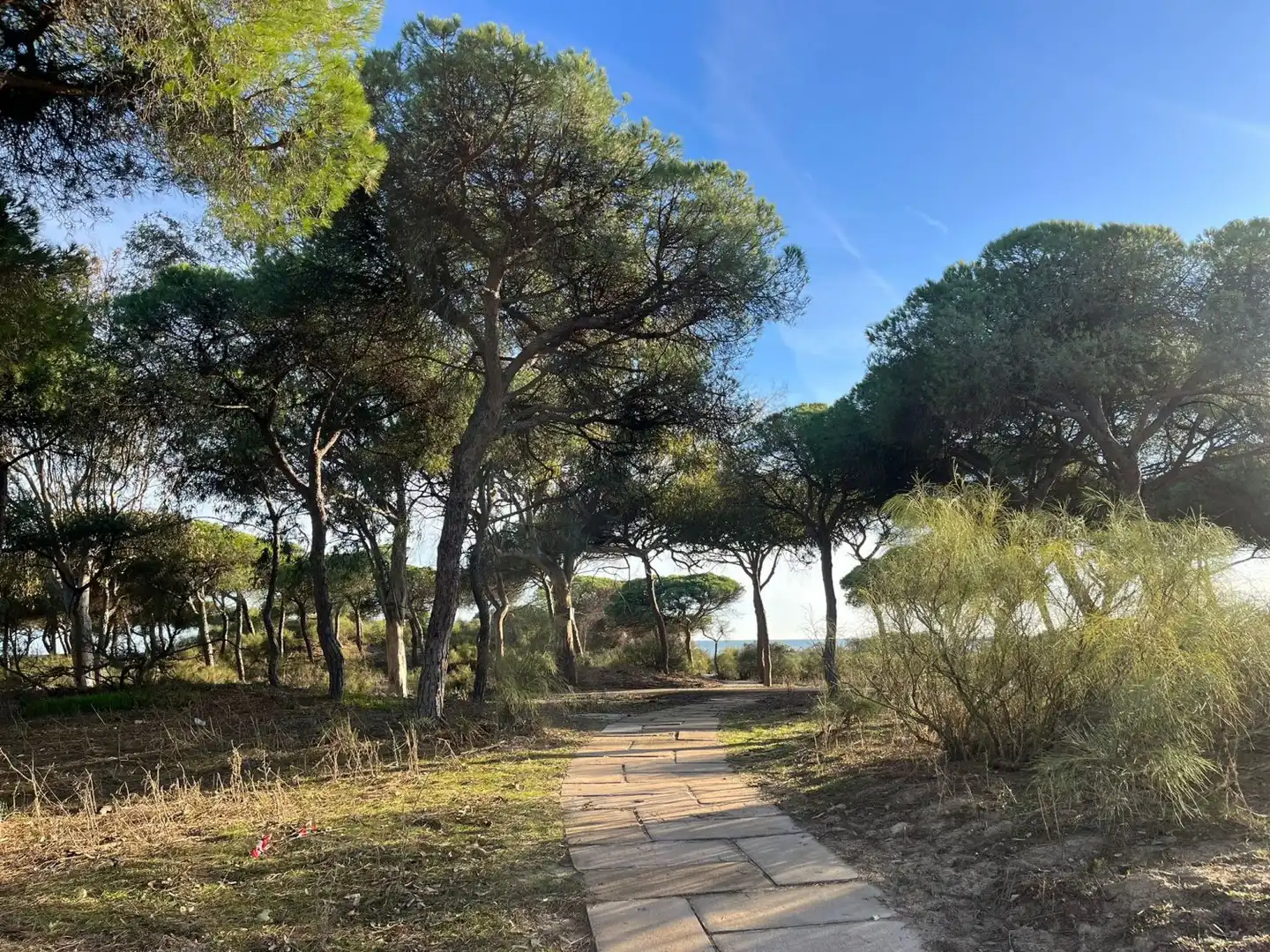 Chalet en venta en Urbasur, imagen 22