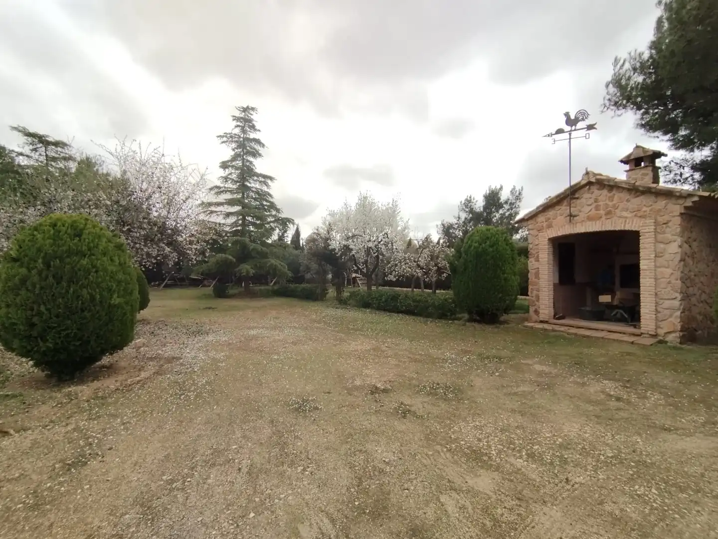 Rural land for sale in Carretera Canal, imagen 2