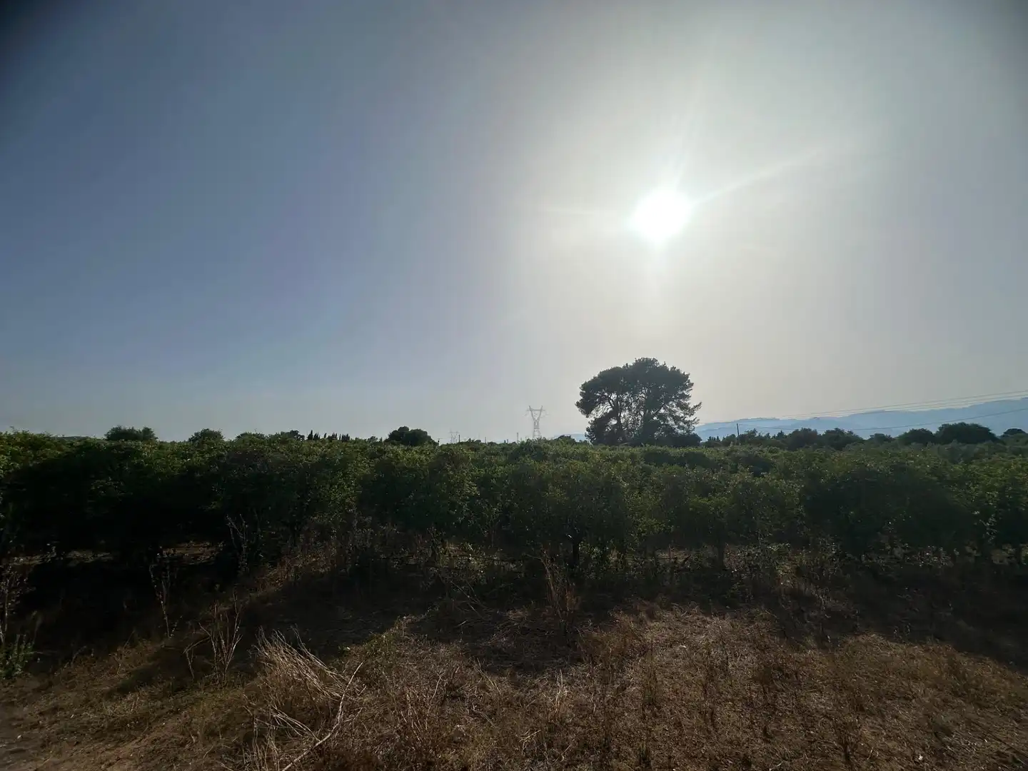 Rural land for sale in Masdenverge, imagen 15