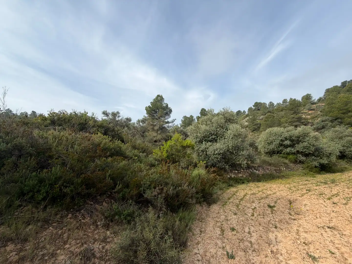 Terreno rustico in vendita a Ascó, imagen 5
