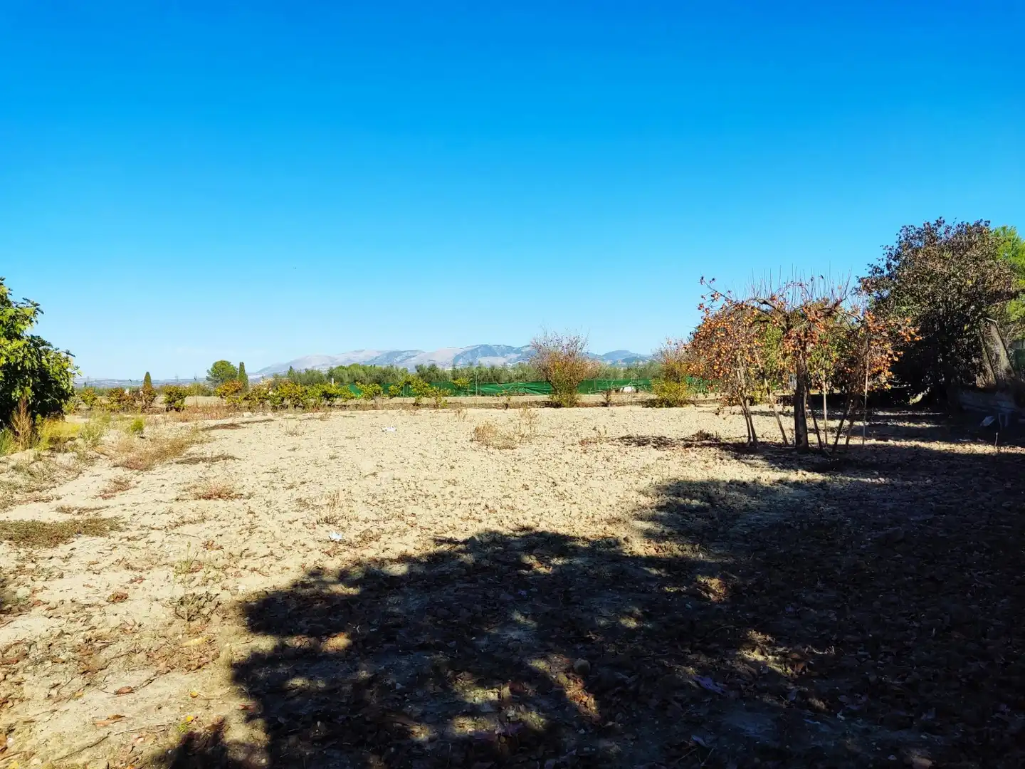 Terreno rústico en venta en MOLINILLO, imagen 17