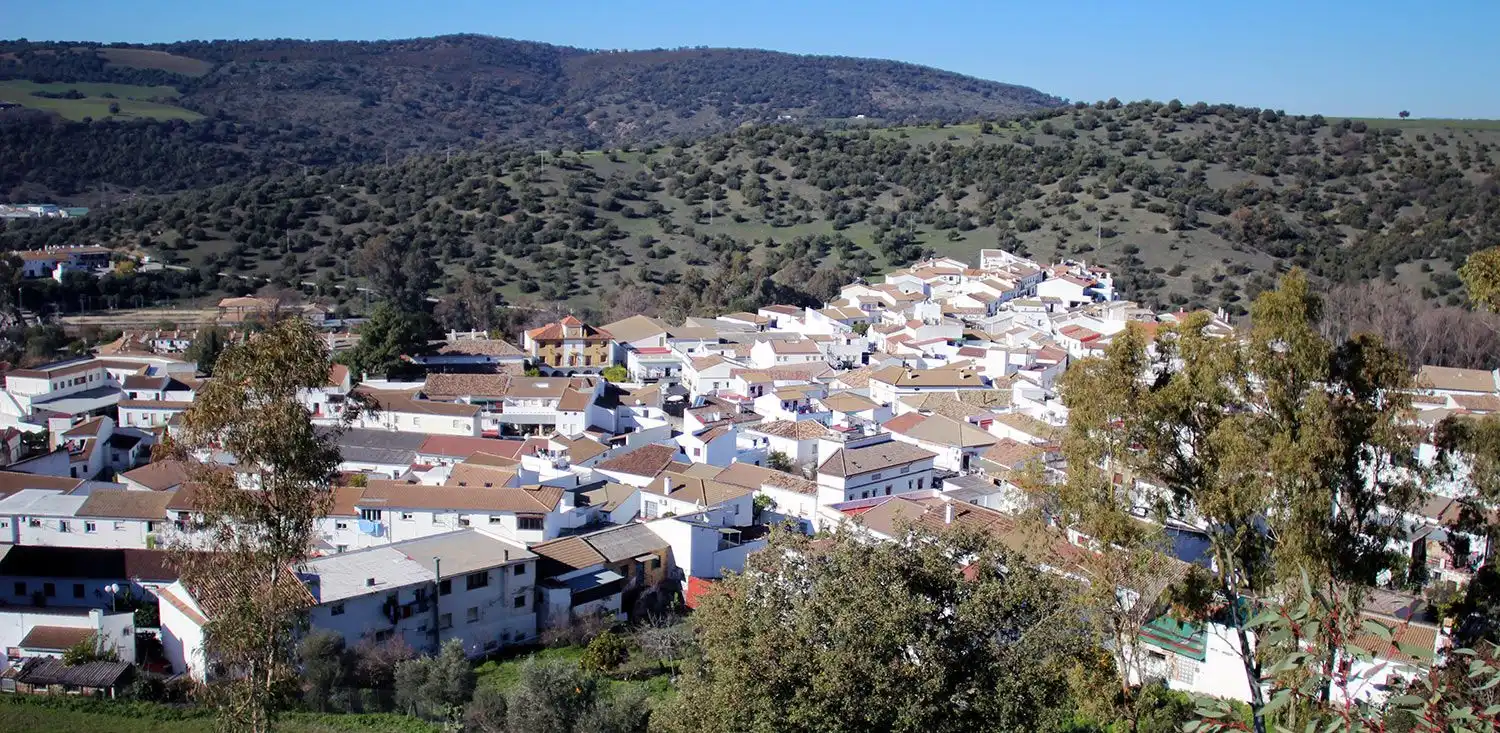 Terreno rustico in vendita a Avenida Juan XXIII 56A