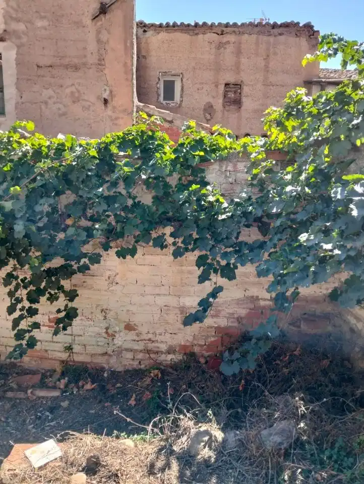 Maison avec jardin à vendre à Camino Casa del Lugar, imagen 48