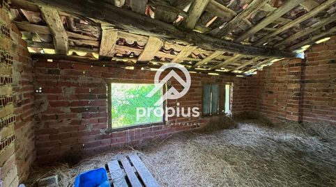 FINCA RUSTICA DE 14900m, immagine 4