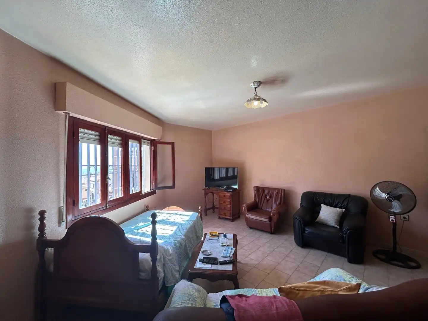 Sala d'estar de Casa o xalet en venda en Adra
