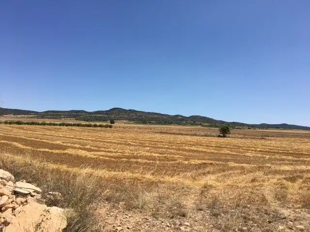 Terreno rustico in vendita a Almansa, imagen 4