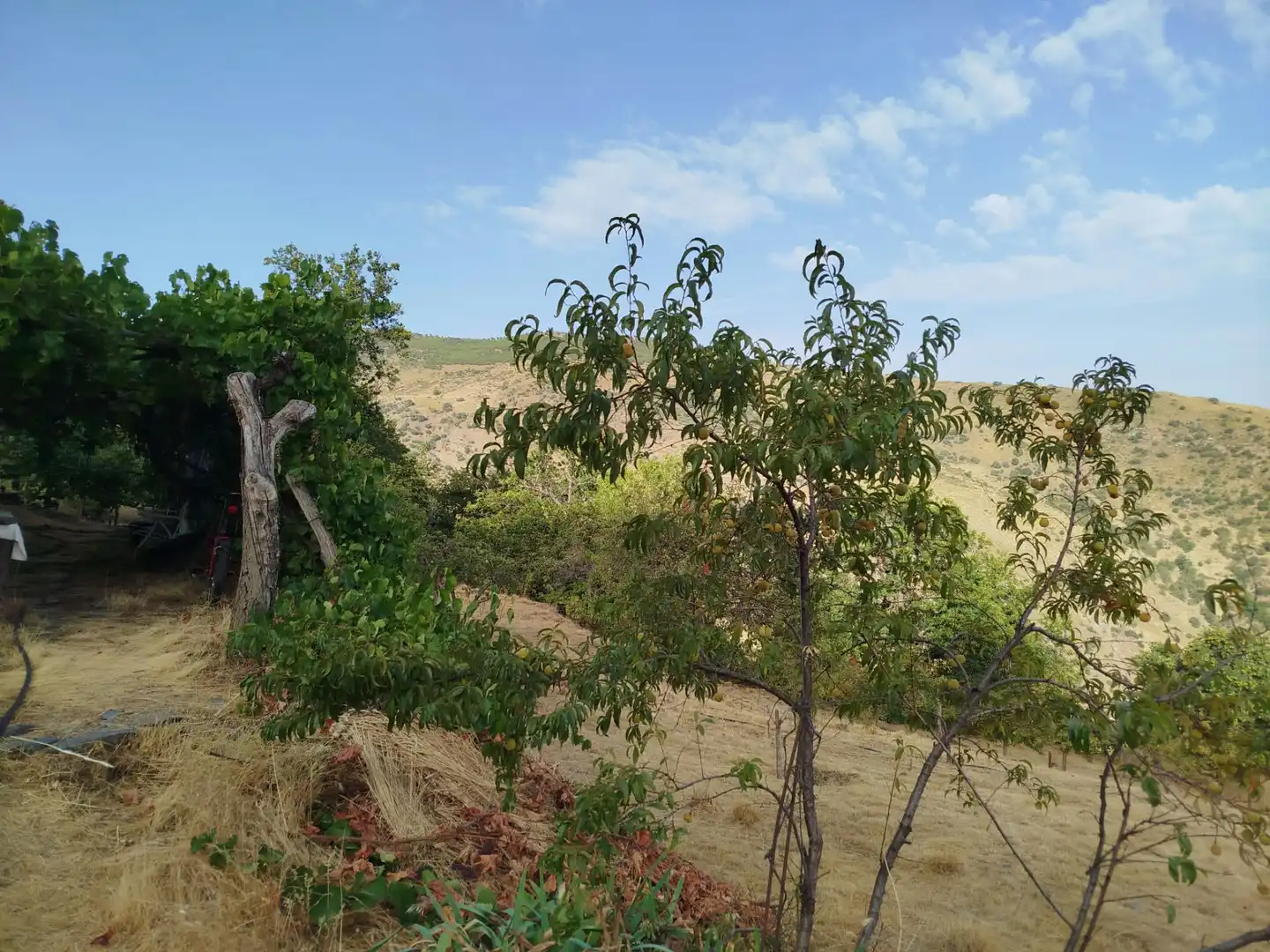 Rural land for sale in Alpujarra de la Sierra, imagen 27