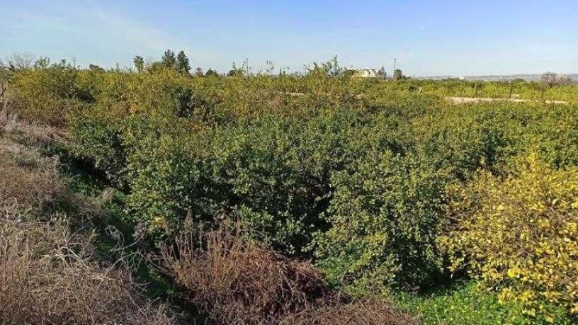 Residential for sale in  Murcia Capital
