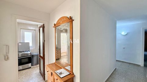 Photo 5 of Apartments for rent in Zona Playa del Cura, Torrevieja