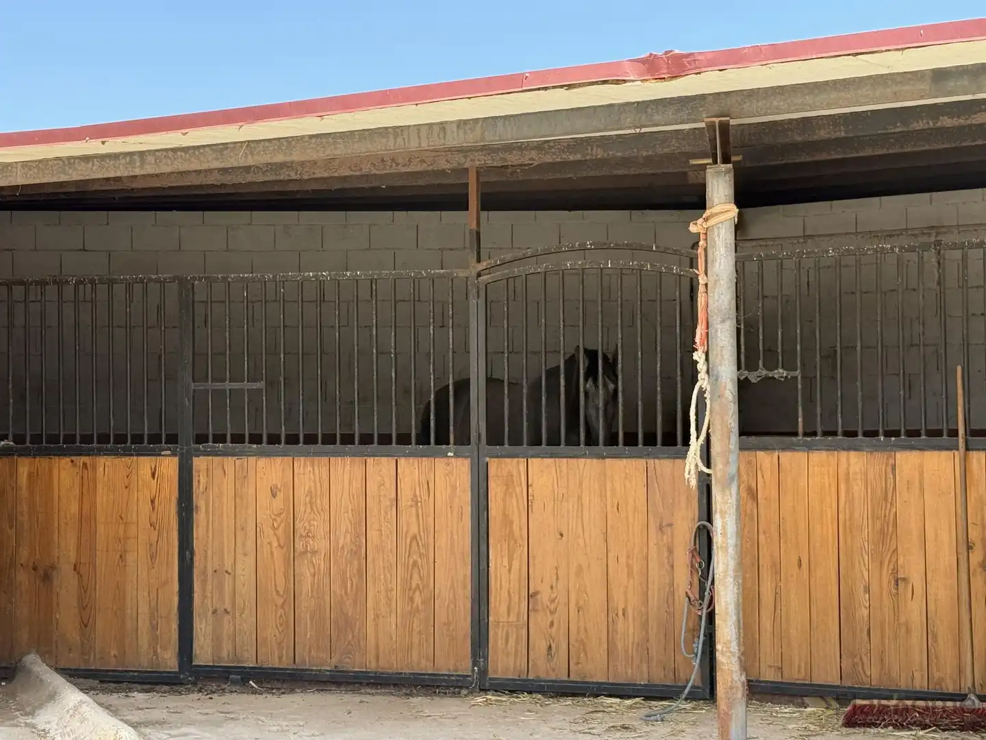Vista exterior de Finca rústica en venta en San Pedro de Mérida con Amueblado