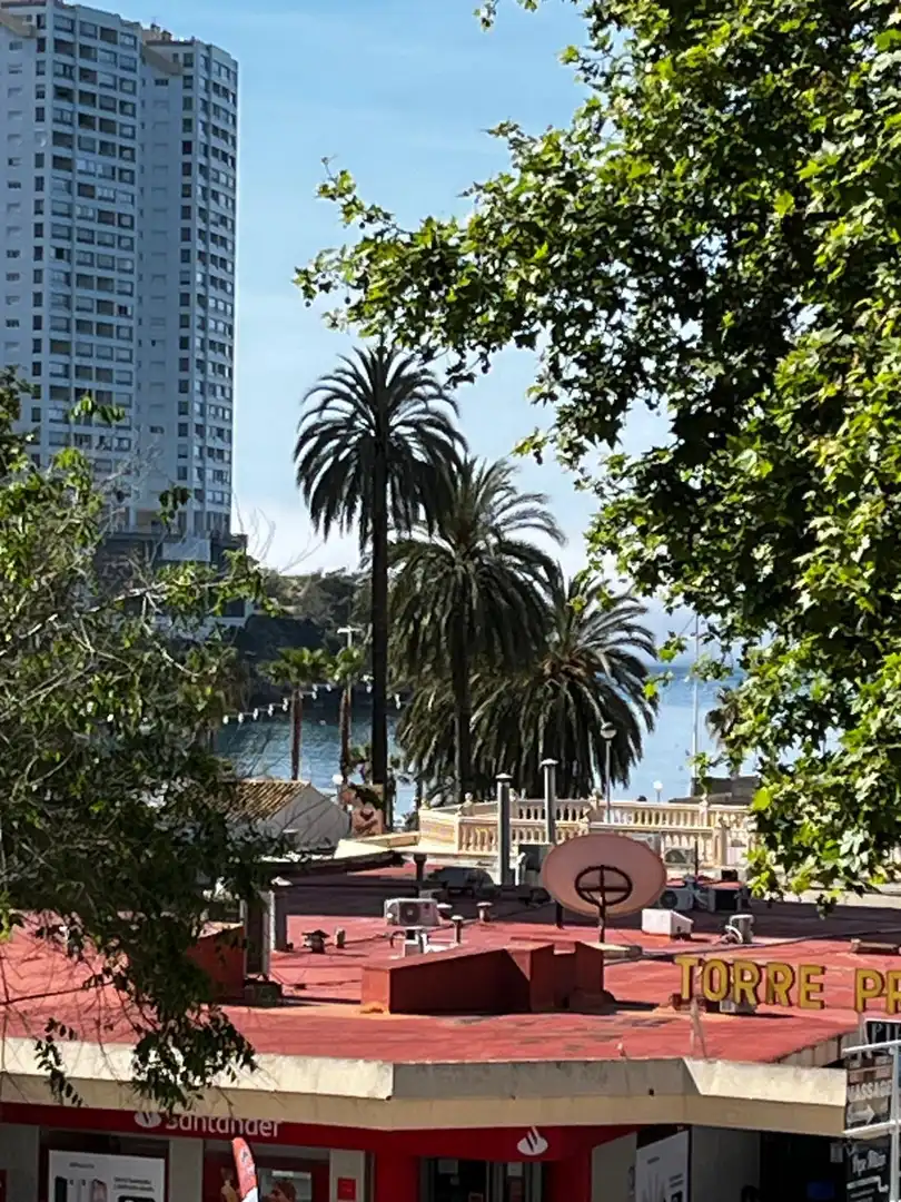 Piso con piscina en venta en Avenida MEDITERRANEO DEL