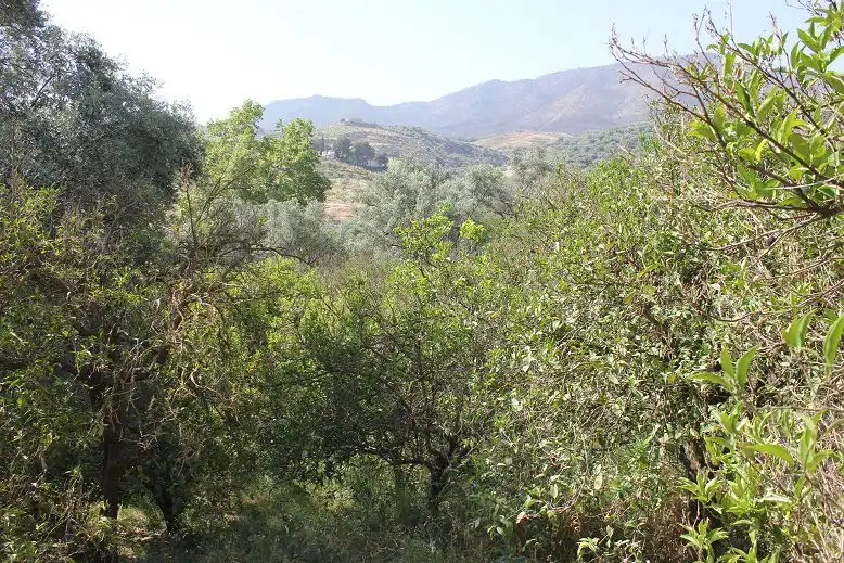 Terreni e lotti in vendita a Andalucía, imagen 10