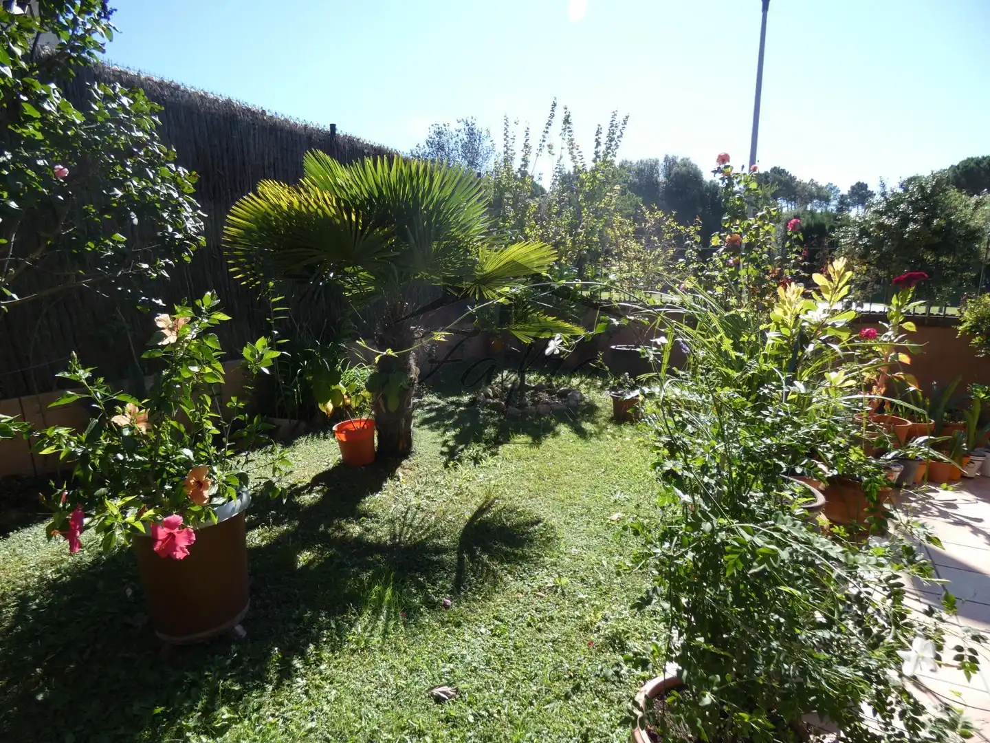 Haus mit Garten zum Verkauf in Centre, imagen 4