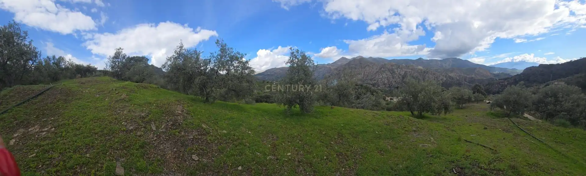 Terreno rustico in vendita a Polígono 11 Parcela 96 EL CERRILLAR. LOS GUAJARES (GRANADA), imagen 14