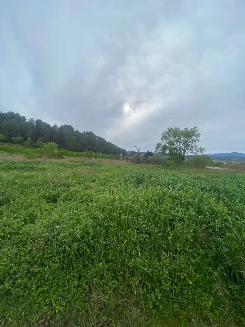 Lands and plots for sale in Ginestar, imagen 8