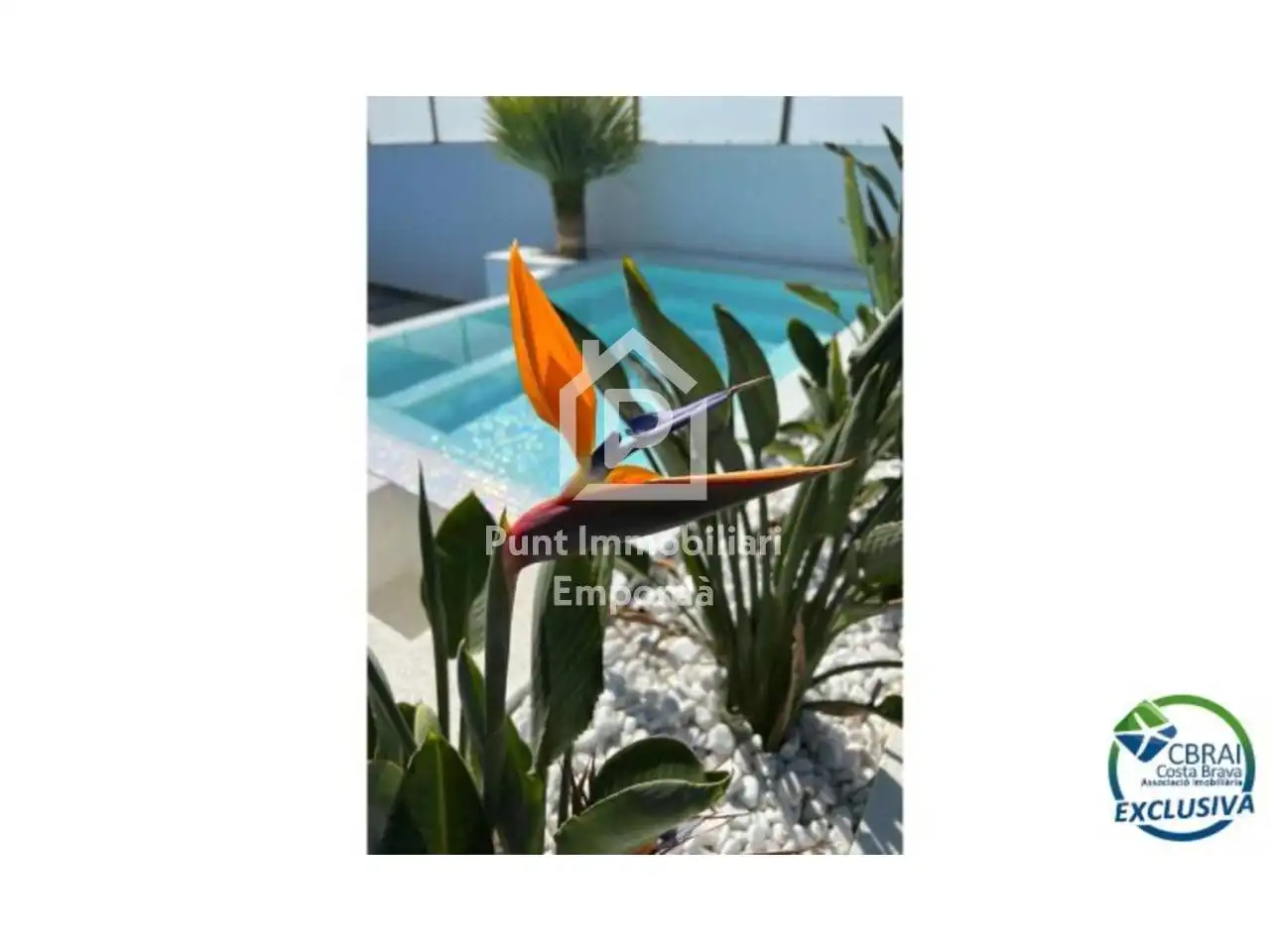 Casa con piscina en venta en Calle Falconera, imagen 11