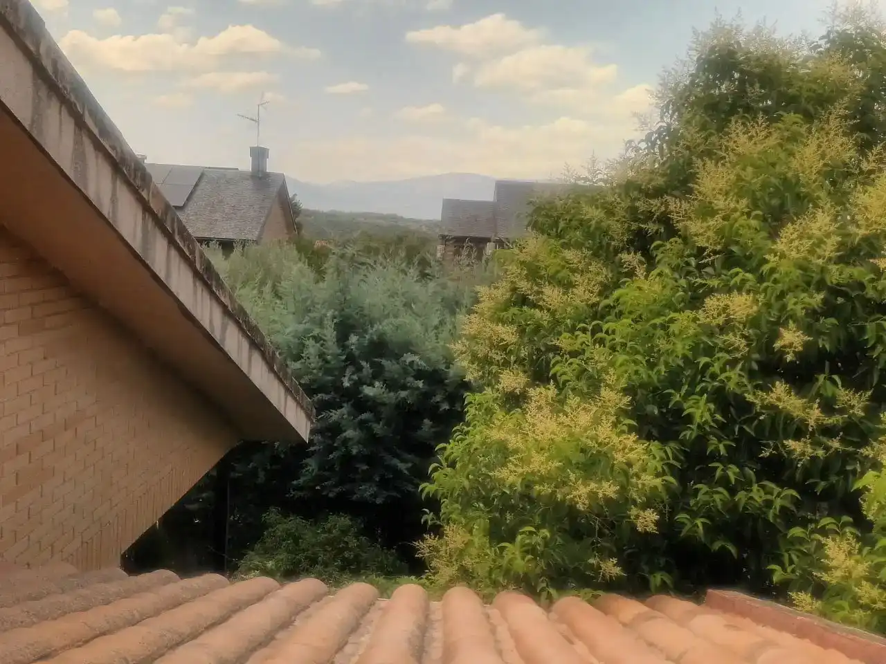 Jardí de Casa o xalet en venda en Colmenarejo amb Balcó