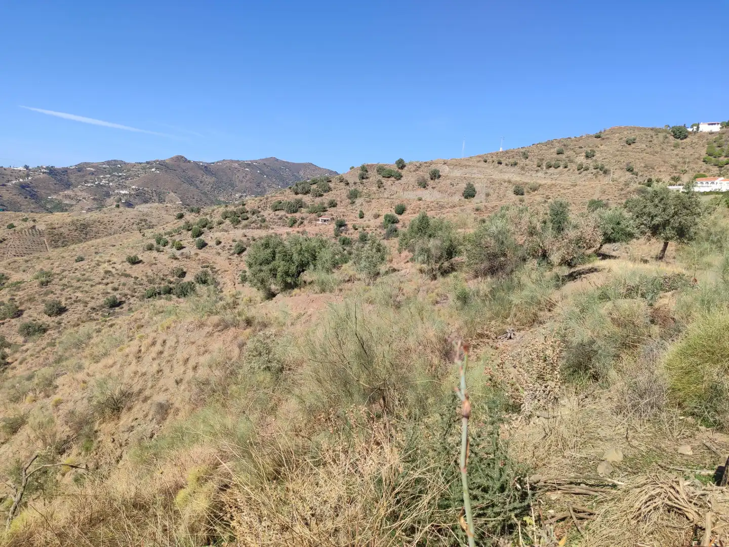 Terreny en venda en Algarrobo