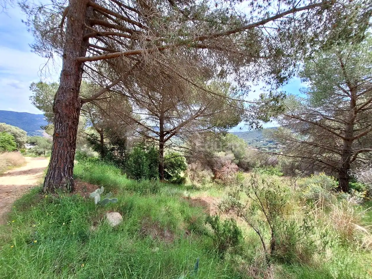 Lands and plots for sale in Nucli Urbà, imagen 8