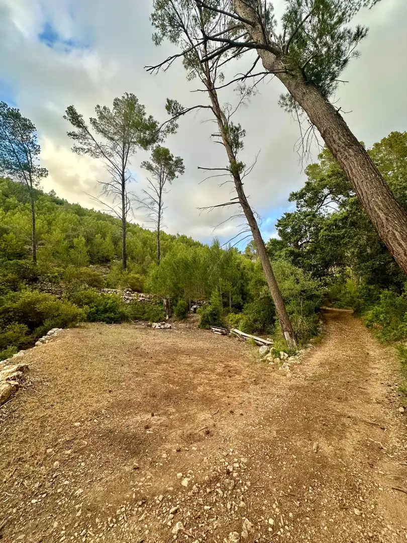 Grundstücke zum Verkauf in S'Arracó