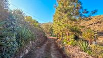 Vista exterior de Finca rústica en venda en Gáldar amb Aire condicionat, Calefacció i Jardí privat