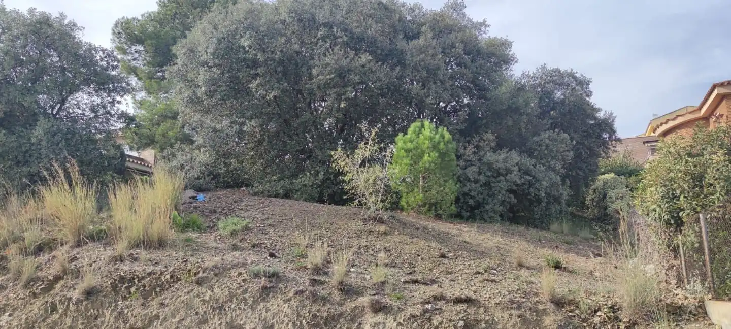 Lands and plots for sale in DE LA CAMELIA 4, imagen 8