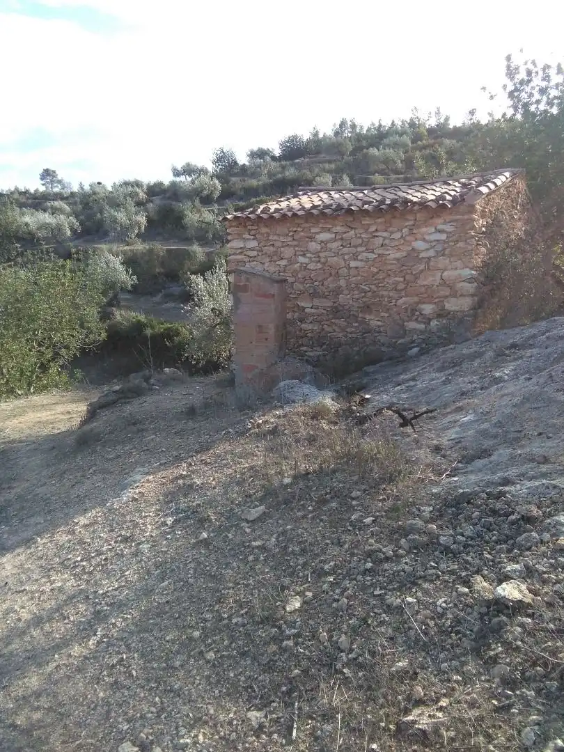 Country homes for sale in El Pinell de Brai