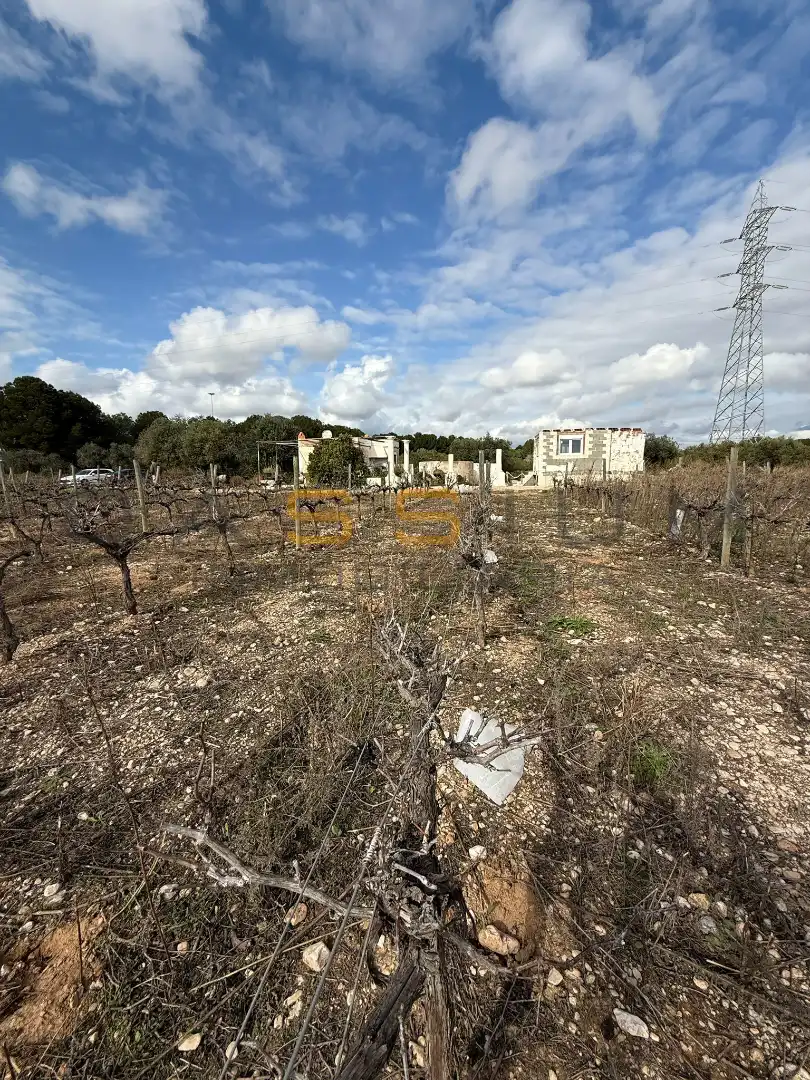 Rural land for sale in Sant Salvador, imagen 25