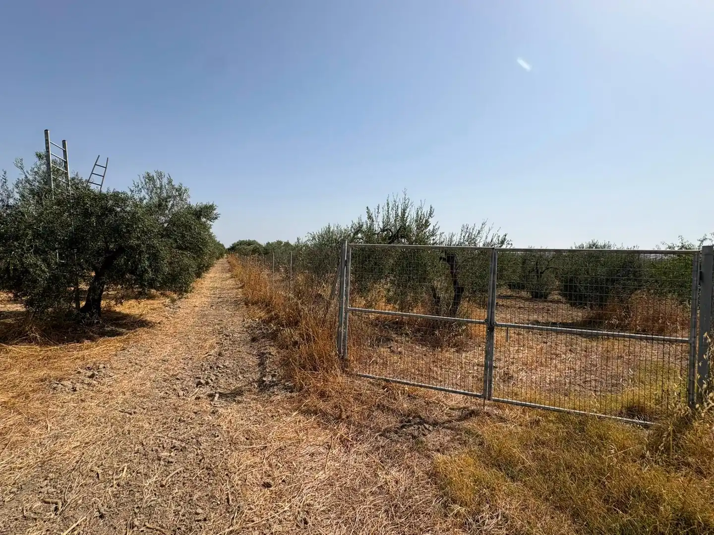 Terreno en venta en Espartinas