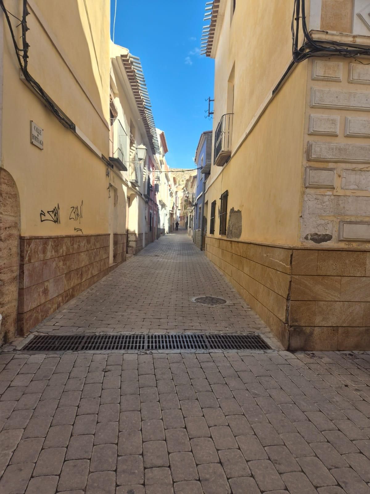 Vista exterior de Casa o xalet en venda en Mula amb Terrassa