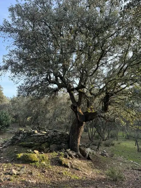 Vista exterior de Terreno en venta en Almendral de la Cañada, Toledo