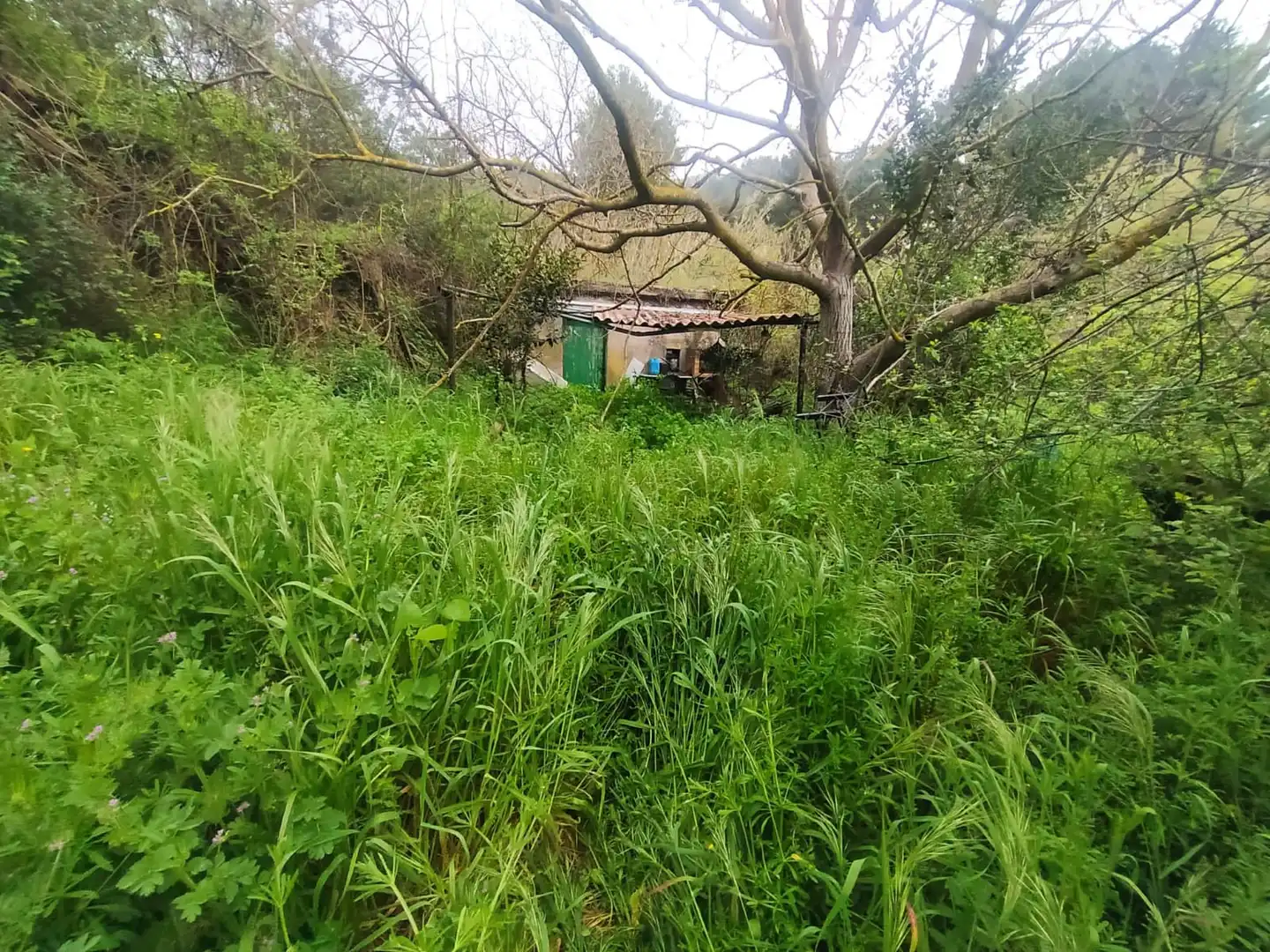 Wohnbaugrundstück zum Verkauf in Carretera Corbera a Gelida 83, imagen 3