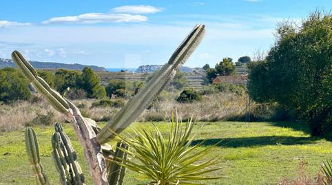 Foto 2 de Finca rústica en venda a Benimeit - Tabaira, Alicante
