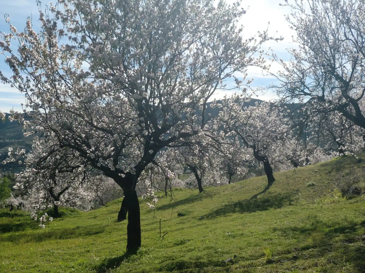 Country house with balcony for sale in Calle Lubrín 1