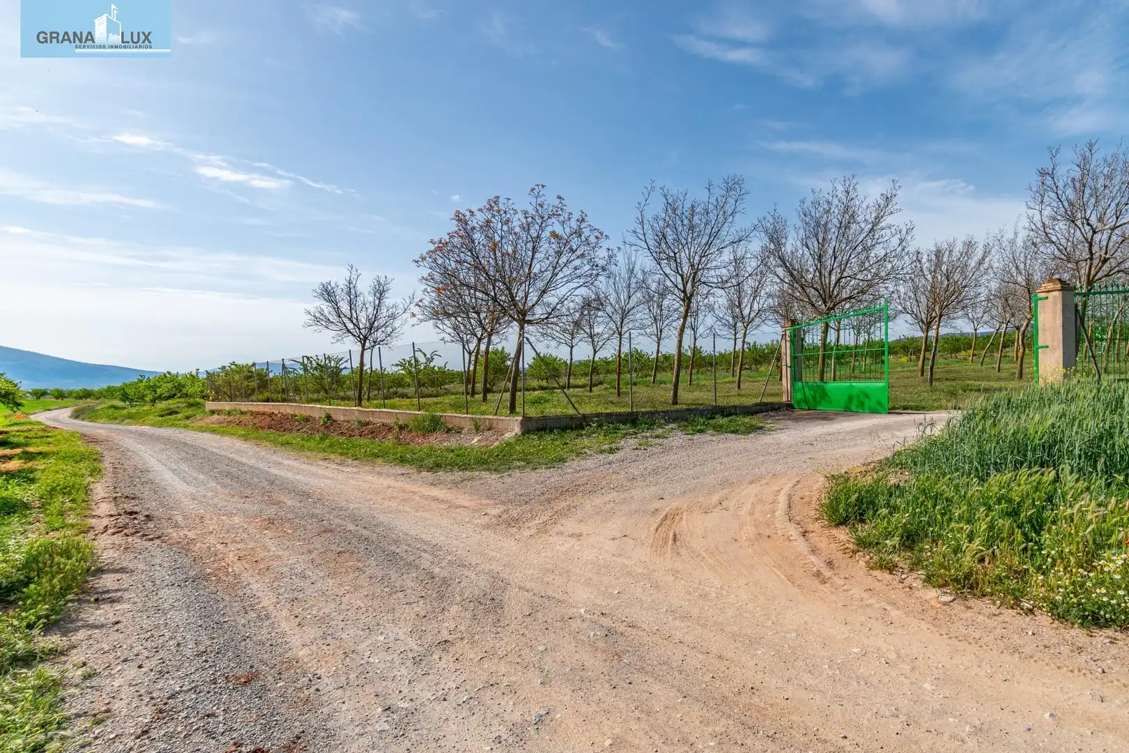 Rural land for sale in 18640, imagen 8