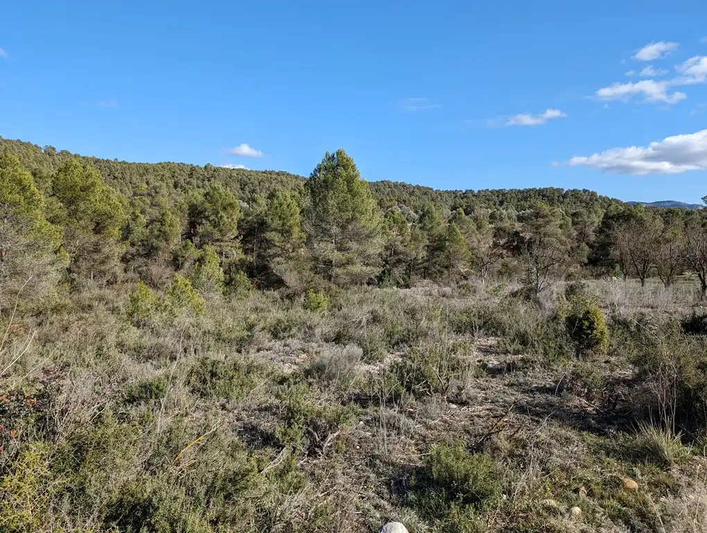 Terreni e lotti in vendita a Arens de Lledó, imagen 11