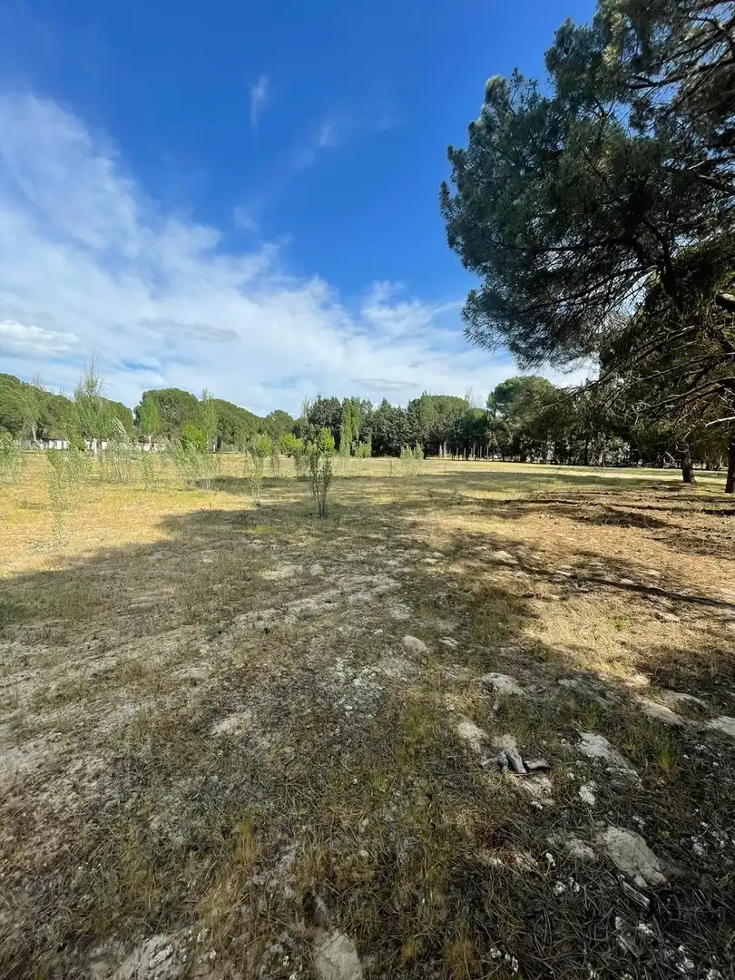 Country homes for sale in Viana de Cega  with Private garden and Swimming Pool