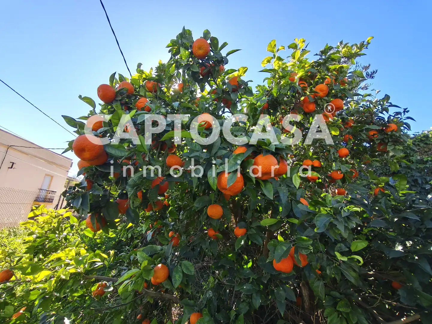 Finca rústica en venta en Cartagena con Jardín privado