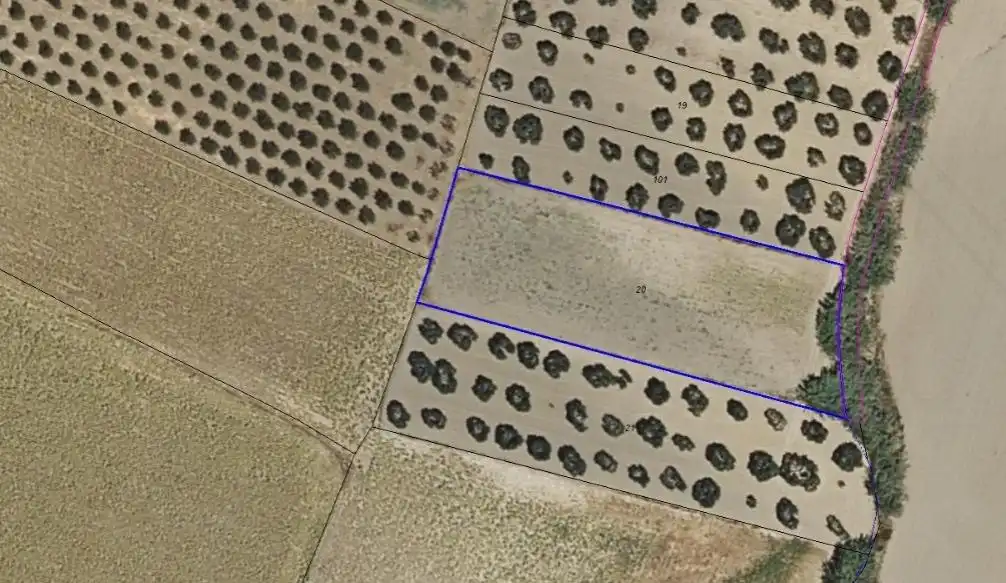 Rural land for sale in Valencina de la Concepción, imagen 2